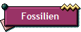 Fossilien