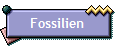 Fossilien