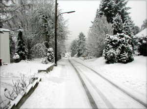 Schultenbusch im Winter